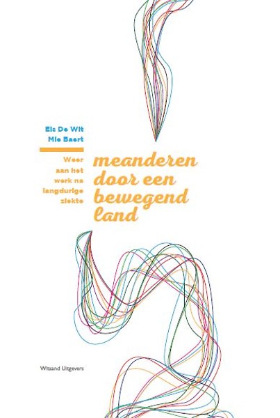 Meanderen door een bewegend land : weer aan het werk na langdurige ziekte