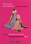 Tree voor tree naar Gods troon : Essays over het leven en werk van Mowlânâ Jalâl al-Din Rumi