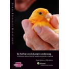 De hofnar en de kanarie onderweg. Leeftijdsbewust personeelsbeleid