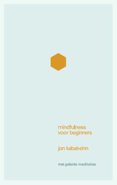 Mindfulness voor beginners : Het huidige moment én je leven herwinnen