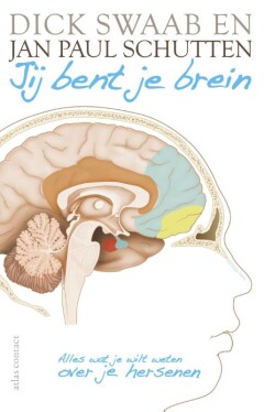 Jij bent je brein : alles wat je wilt weten over je hersenen. Van ADHD tot verliefdheid