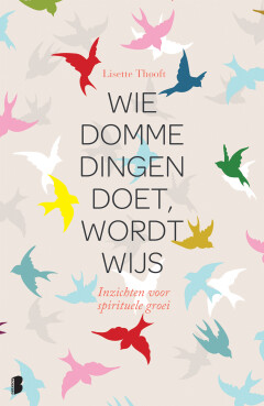 Wie domme dingen doet wordt wijs : Inzichten voor spirituele groei
