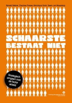 Schaarste bestaat niet : Strategisch omgaan met de factor arbeid