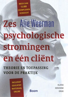 Zes psychologische stromingen & één cliënt