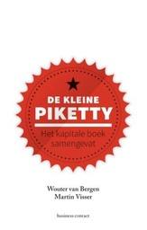 De kleine Piketty : Het kapitale boek samengevat