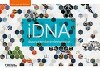 IDNA : Het innovatiegen voor organisaties