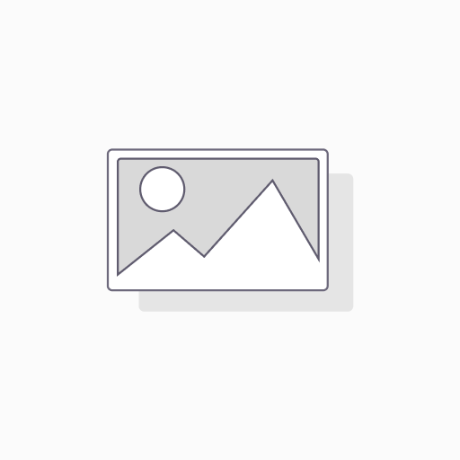 Moments of Impact : Hoe je strategische conversaties ontwerpt die verandering versnellen