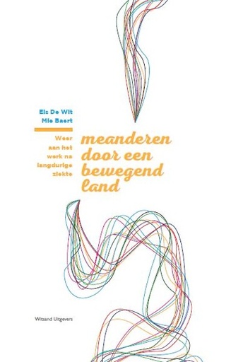 Meanderen door een bewegend land : weer aan het werk na langdurige ziekte