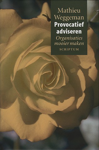 Provoactief adviseren : Organisaties mooier maken
