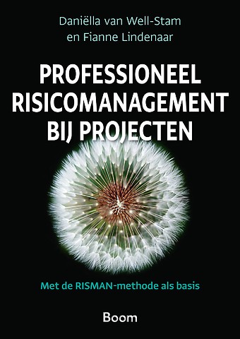 Professioneel risicomanagement bij projecten : Met de RISMAN-methode als basis