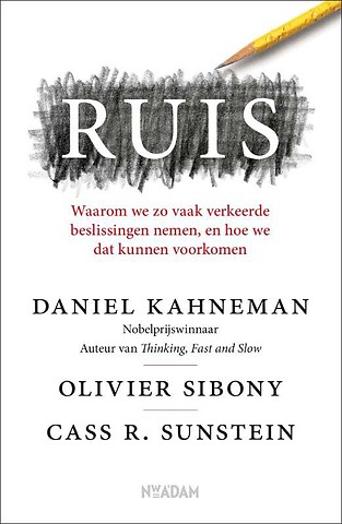 Ruis : Waarom we zo vaak verkeerde beslissingen nemen, en hoe we dat kunnen voorkomen